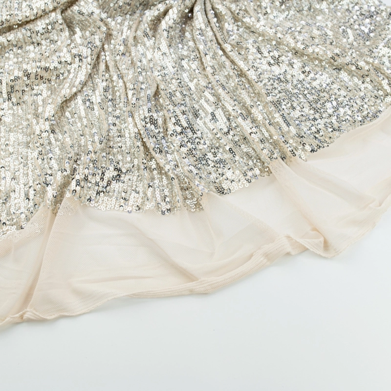 CEK.1683.03 | Pailletten-Netzstoff silber - 6