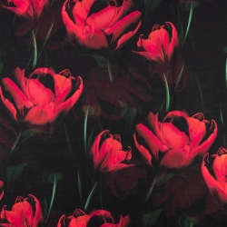 Chiffon rote Tulpen schwarz